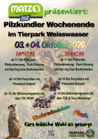 Pilzkundler-Wochenende